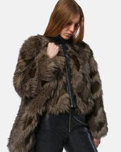 LILLET BOMBER - Cedar