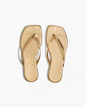 SQUARE TOE LILY - Blink