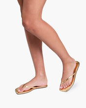 SQUARE TOE LILY - Blink