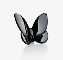 LUCKY BUTTERFLY - Black