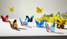 LUCKY BUTTERFLY - Black