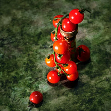 3 WICK - Tomato Trellis