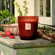 5 WICK - Tomato Trellis
