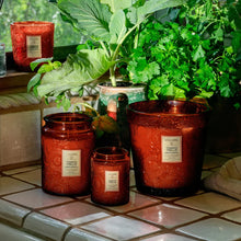 3 WICK - Tomato Trellis